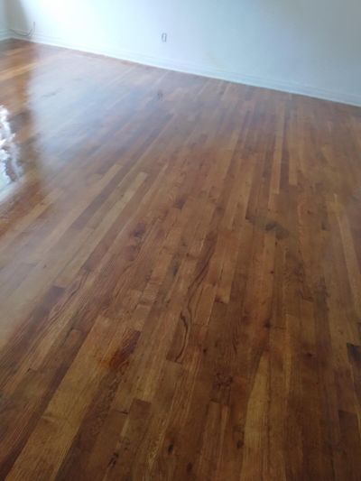 Stained hardwood floor in an empty room